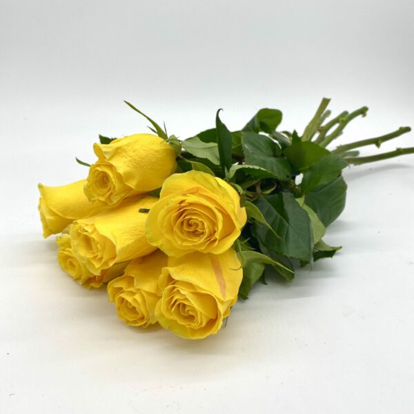 Rosas amarelas ideal para presentear alguém especial.
